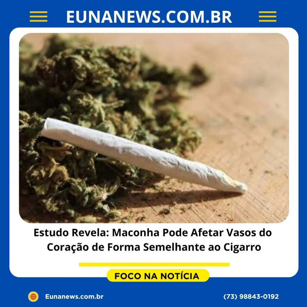 Estudo Revela: Maconha Pode Afetar Vasos do Coração de Forma Semelhante ao Cigarro