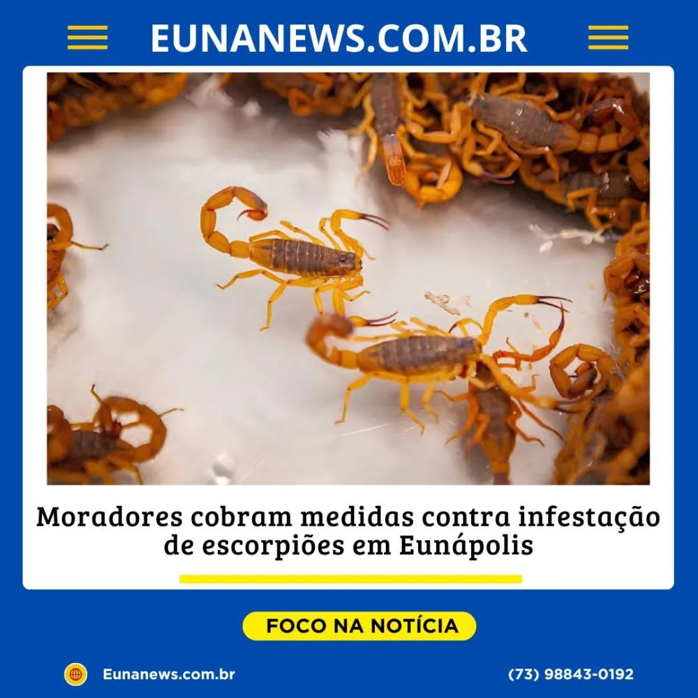 Moradores cobram medidas contra infestação de escorpiões em Eunápolis