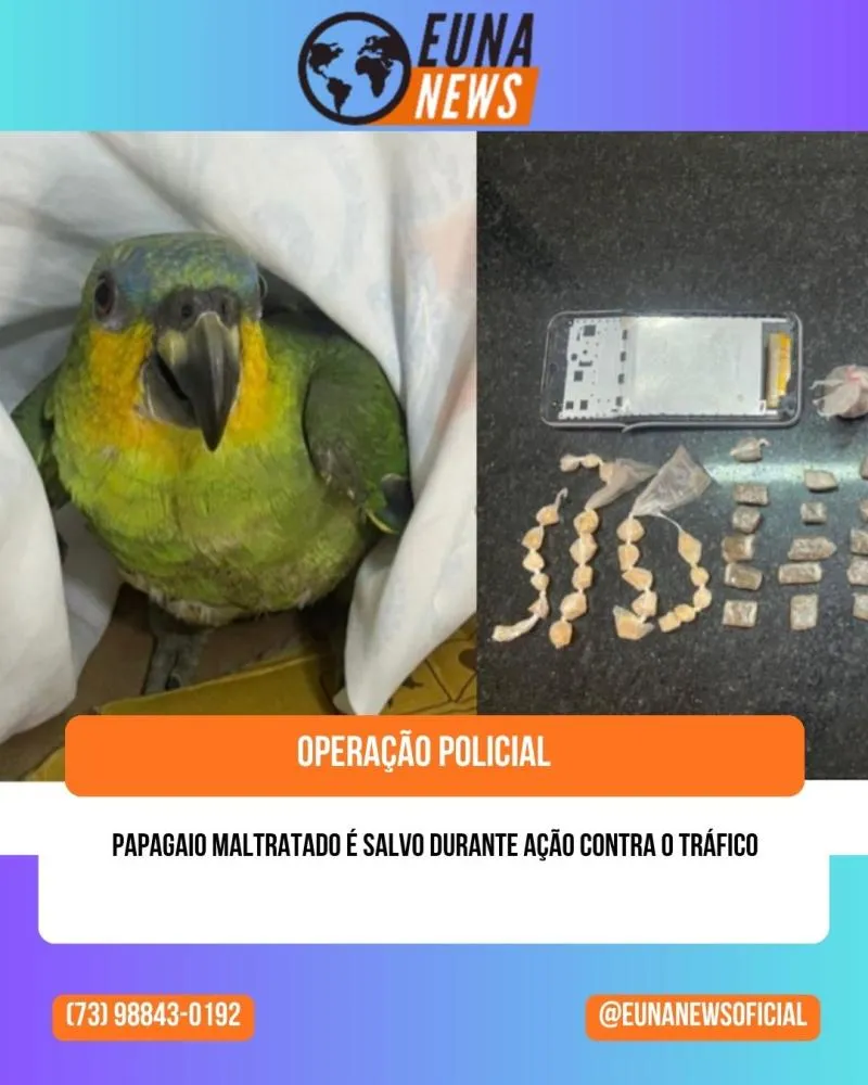 Papagaio maltratado é salvo durante ação contra o tráfico