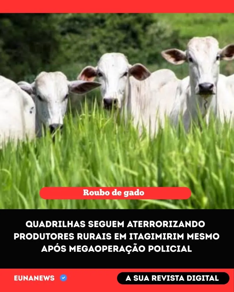 Quadrilhas seguem aterrorizando produtores rurais em Itagimirim mesmo após megaoperação policial